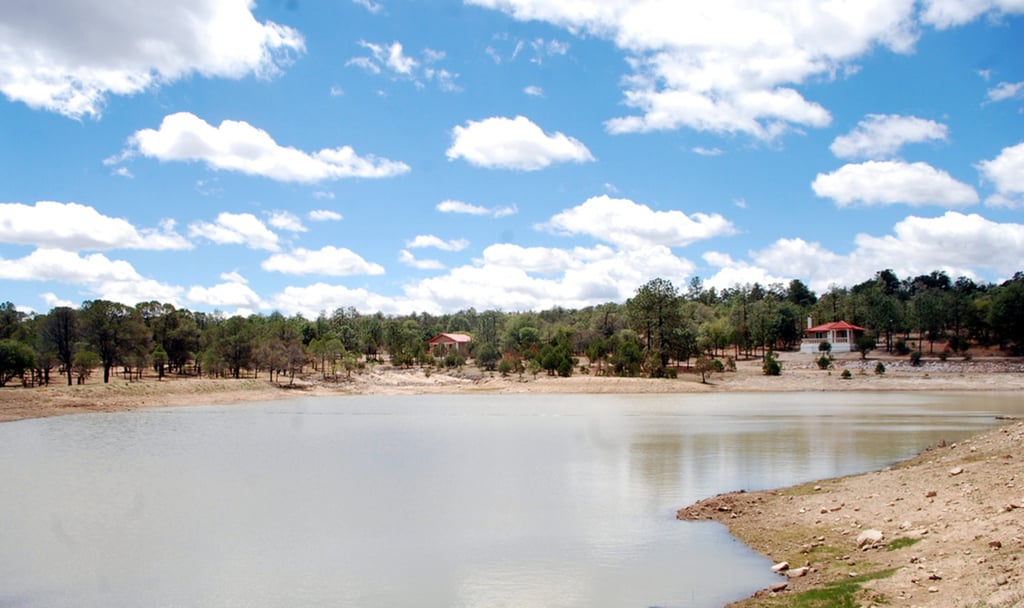 Turismo. Se han implementado recorridos en centros ecoturísticos para brindar mayor confianza. 