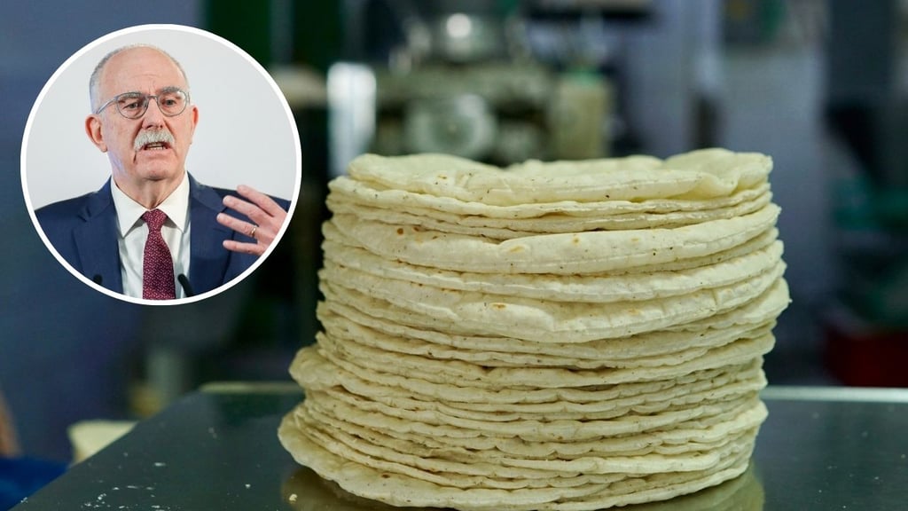 Bajar precio de la tortilla hasta 10%, busca el gobierno de Claudia Sheinbaum