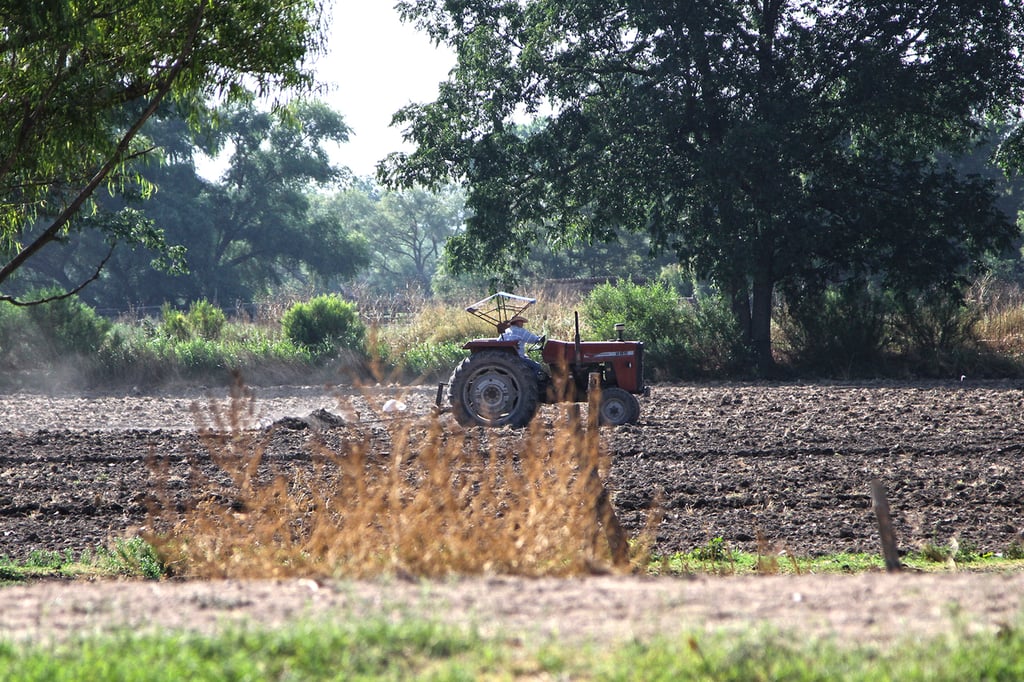 Precipitaciones. No se presentaron las lluvias que se habían pronosticado, lo que afectó principalmente a la agricultura.