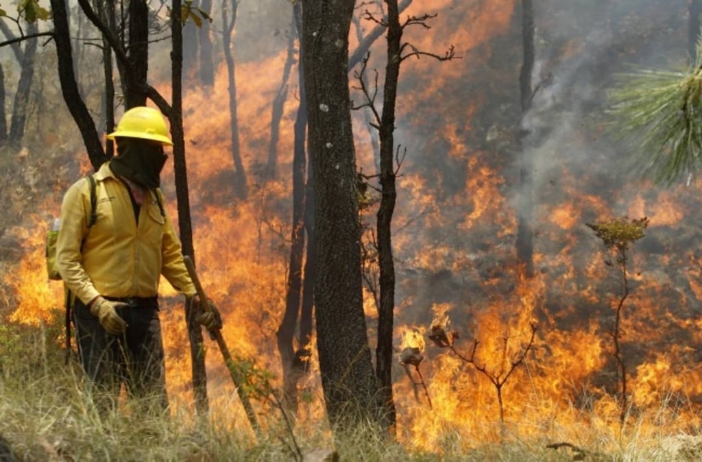 Durango, noveno lugar en superficie afectada por incendios forestales