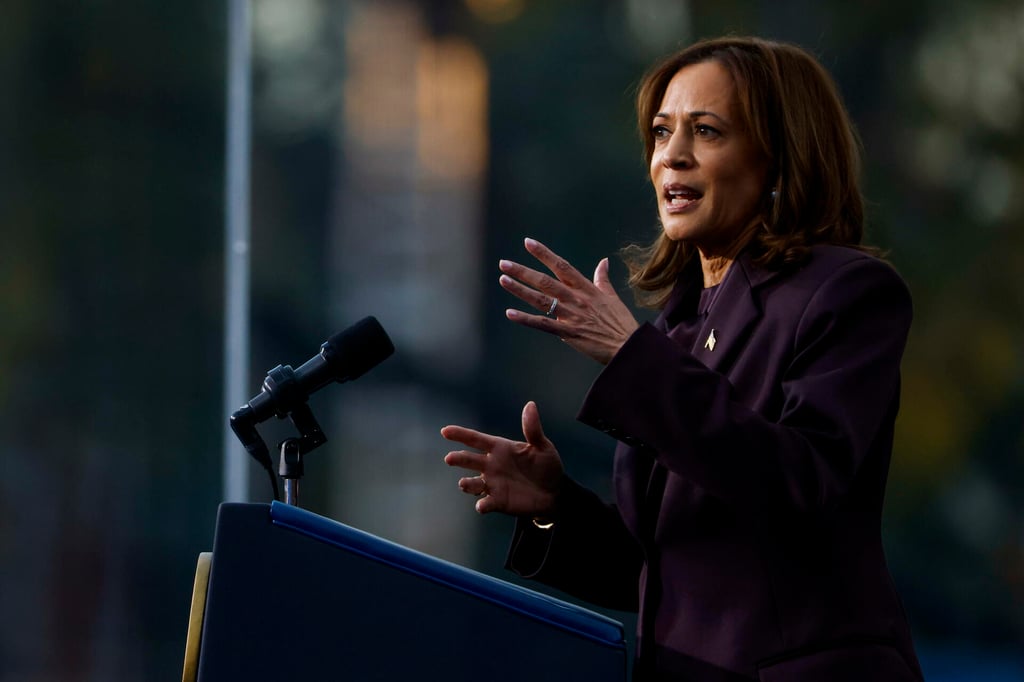 'Debemos aceptar los resultados de esta elección', Kamala Harris a votantes