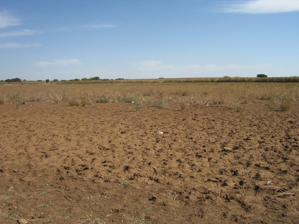 Efectos. La ausencia de lluvias importantes desde el pasado mes de septiembre ha acentuado nuevamente las condiciones de sequía, aunque en la primera quincena de noviembre no se agudizó.