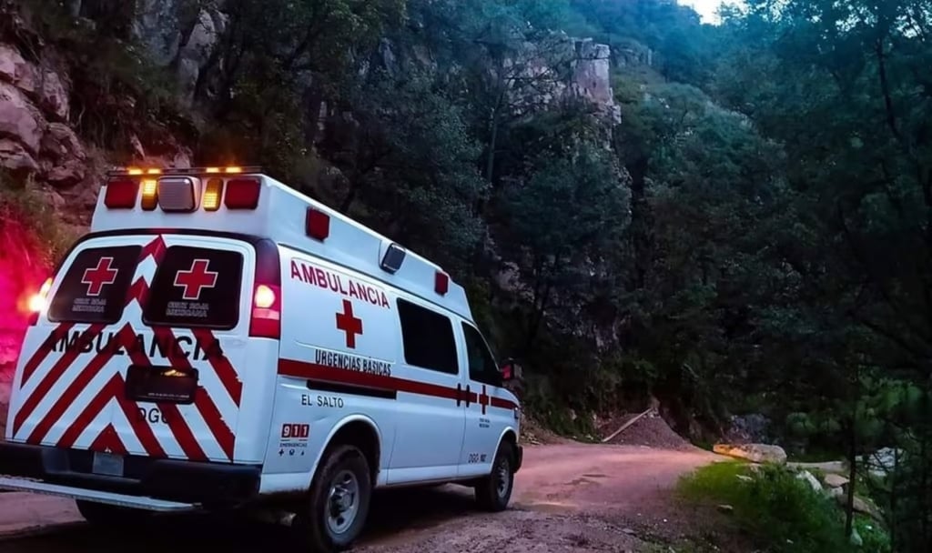 Hecho. Un hombre murió aplastado por una grúa cuando extraían madera en Pueblo Nuevo.