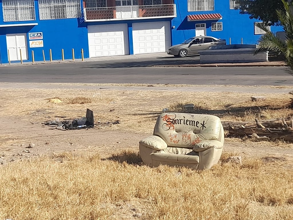 Sillones. Hasta un panal de abejas se localizó dentro de uno de los sillones que se encontraba tirado en la vía pública.