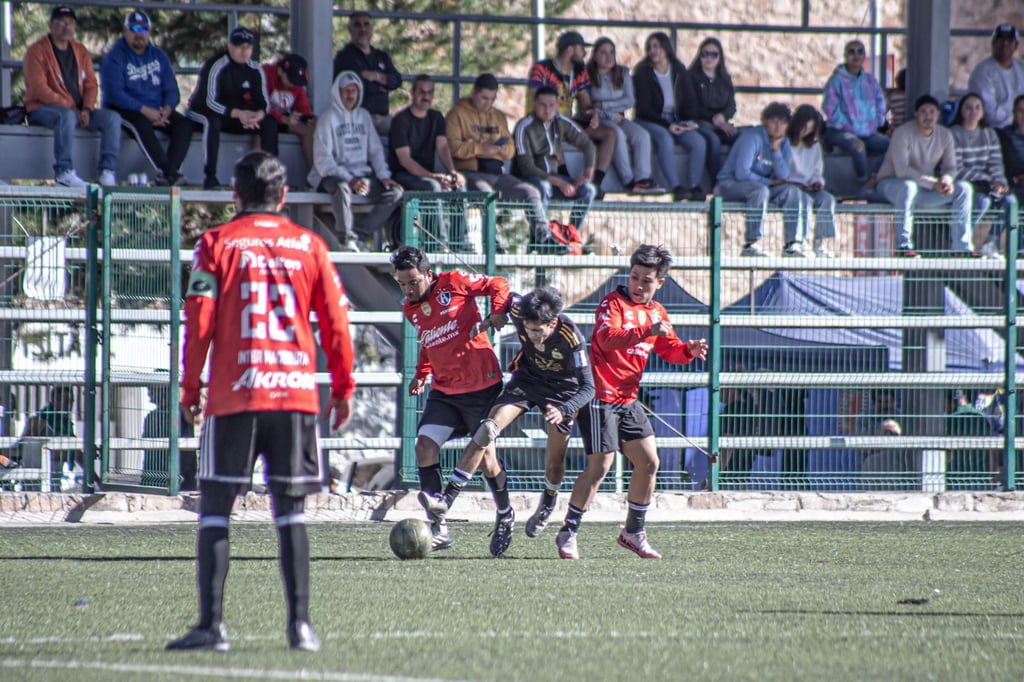 Quedan 4 en el Torneo LIVde la Maderera