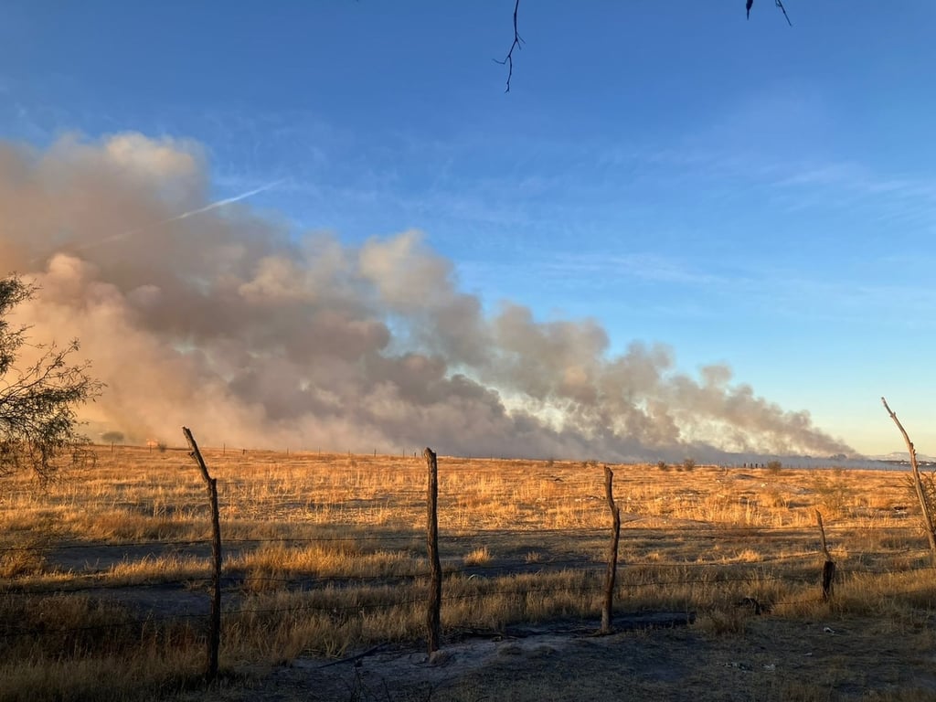 Acción. Los bomberos atacaron más de 30 incendios en zacatales, en el marco de las fiestas decembrinas.