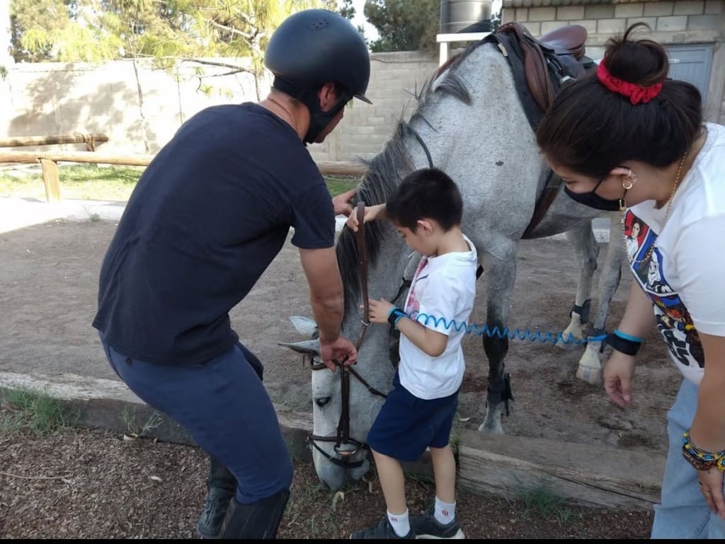 'Sobre el lomo del caballo no hay discapacidad'; invitan a evento de equinoterapia