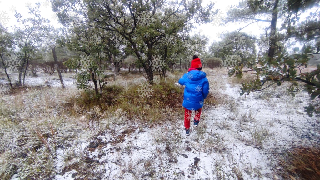 Ante posibles nevadas en Durango, autoridades están alertas en municipios