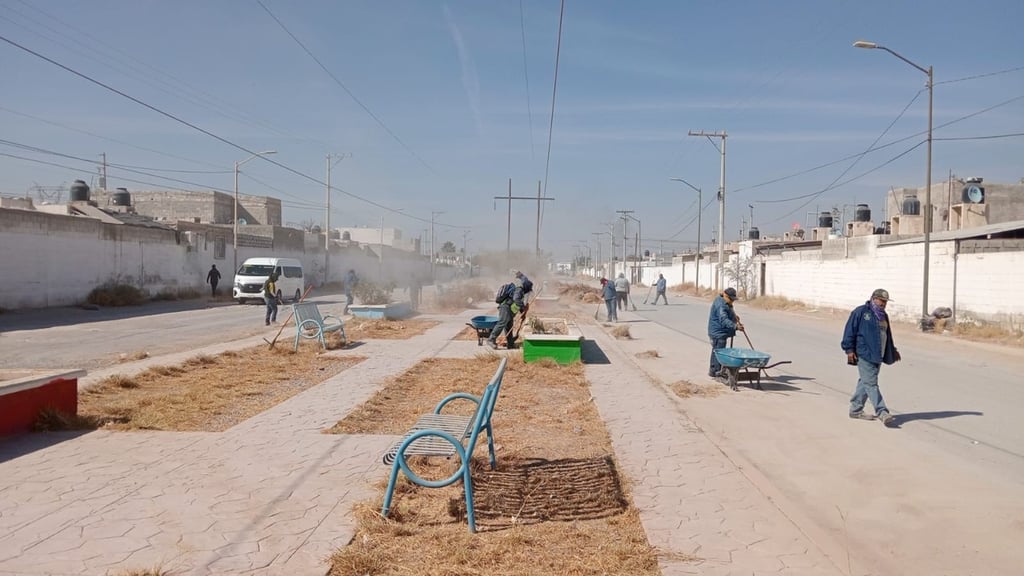  Los trabajos en el camellón central incluyeron poda correctiva y estética, desmalezado y limpieza general.