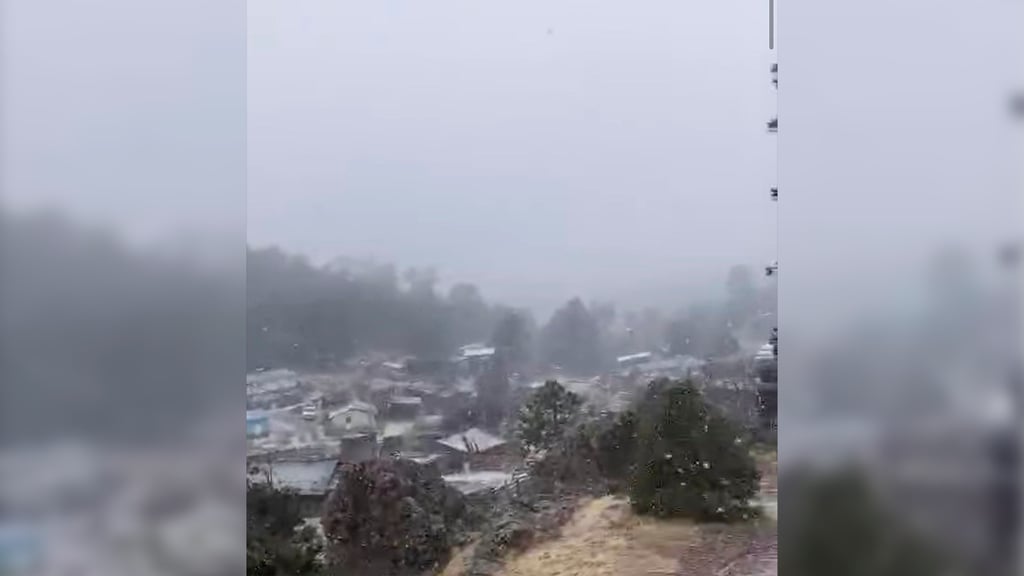 Tormenta Invernal en Durango: Ya empezó a nevar, reportan autoridades del estado | VIDEO