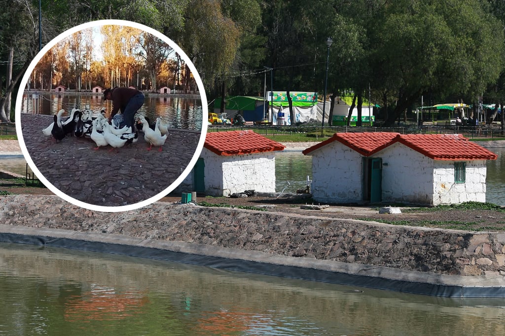 Llaman a cuidar el icónico Lago de los Patos del Parque Guadiana