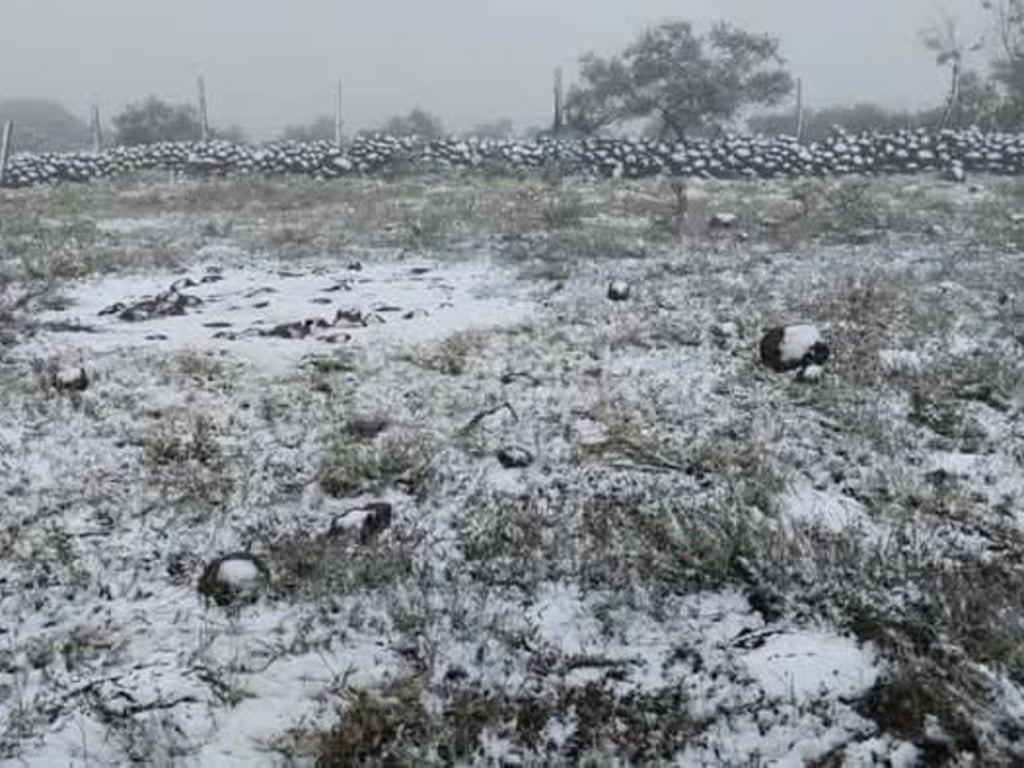 Temperaturas. Debido a las bajas temperaturas registradas en el municipio, se recomienda seguir las indicaciones de las autoridades.