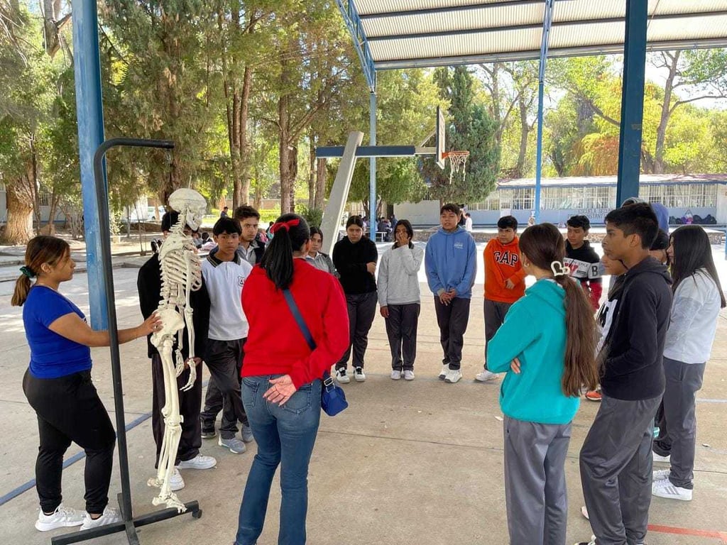 Diplomados. Los Diplomados serán 'La Educación Física en la Nueva Escuela Mexicana' y Entrenamiento Deportivo: Fundamentos y Aplicaciones.