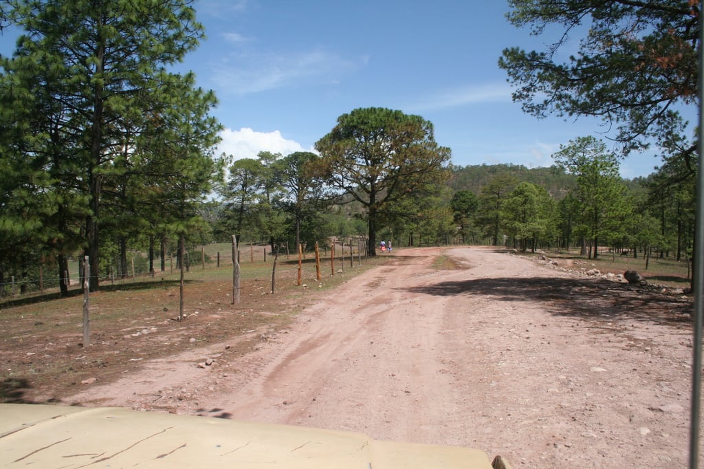 Infraestructura carretera y salud deben de ser prioridad en la zona indígena duranguense