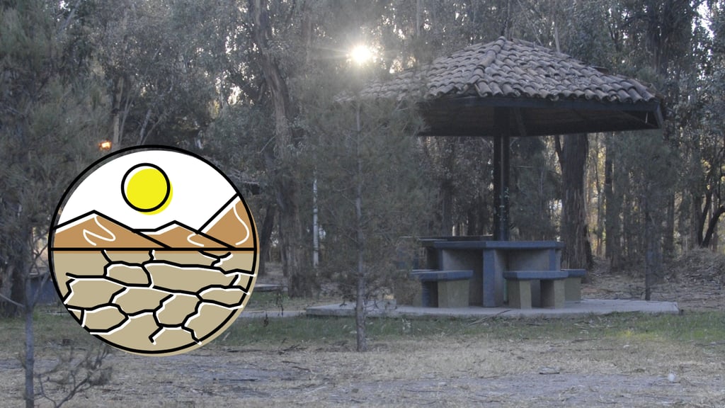 Sequía en Durango retrocedió en 31 municipios, al cierre de 2024