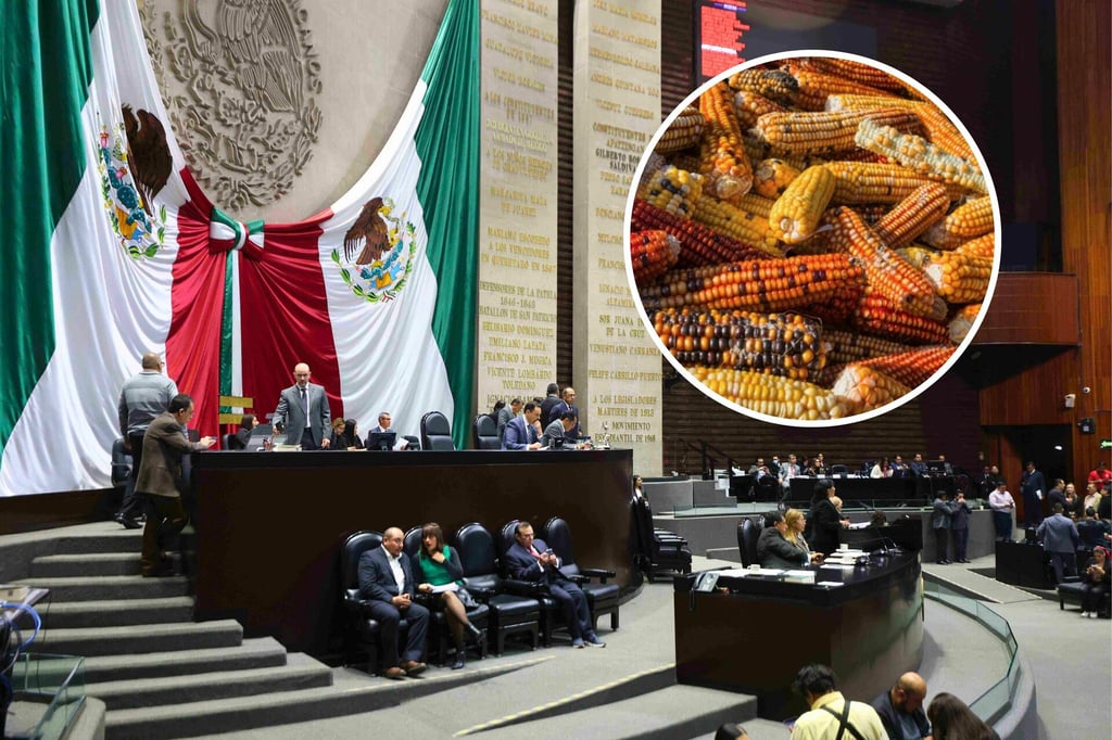 Congreso recibe iniciativa para prohibir maíz transgénico en México