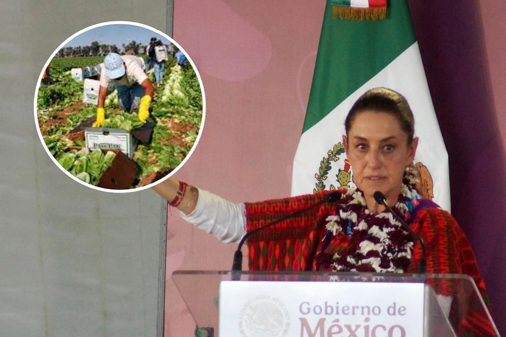 Crisis Migrantes: '¡Los mexicanos sostienen la economía de los Estados Unidos!', afirma Sheinbaum