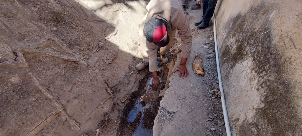 AMD: Limitarán servicio de agua en algunos sectores de Durango capital