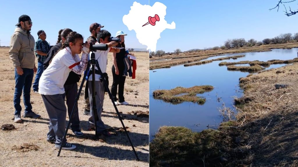 SRNyMA: Durango, con más de 28 mil hectáreas de humedales