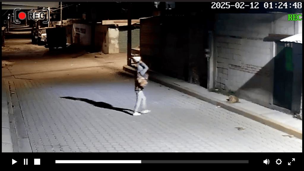 Captan a sujeto que lanzó una piedra a ‘Huesitos’, perrito que dormía tranquilamente en la calle