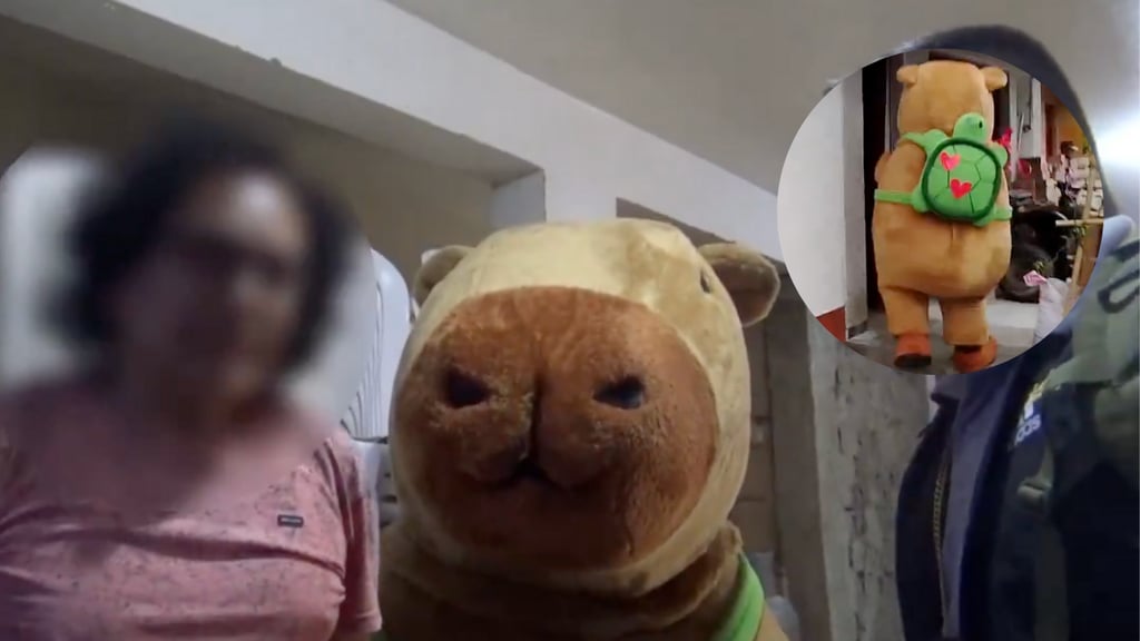 Policía peruana arresta a criminal usando un disfraz de capibara | VIDEO