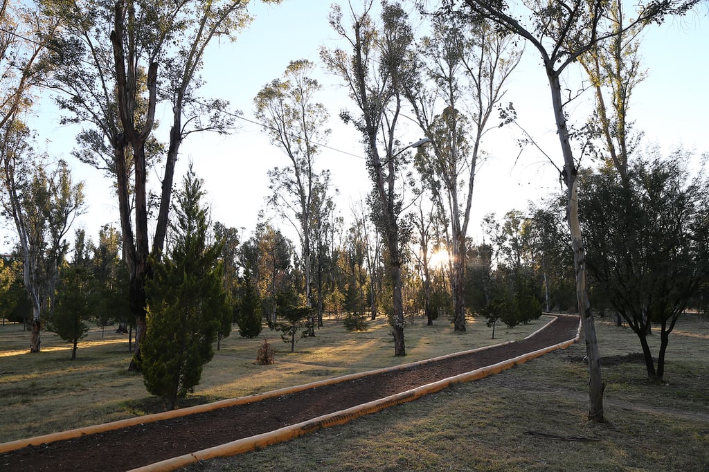 Mantenimiento. Hay partes en muy buenas condiciones, pero las áreas más alejadas no.