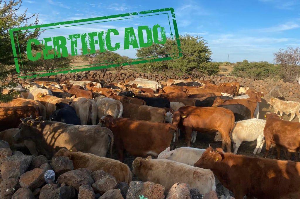 Mantiene Durango estatus ganadero