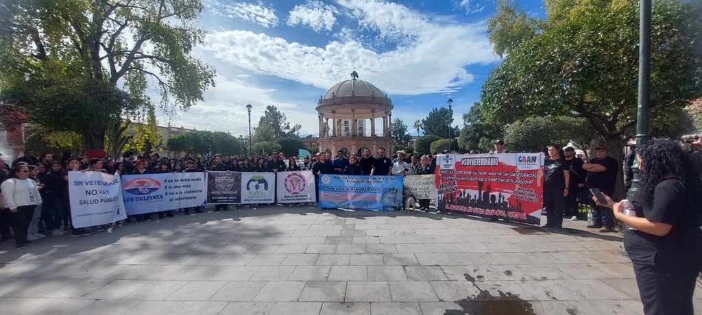 Veterinarios. Los profesionales de la salud animal están exigiendo de la sociedad respeto a su profesión y evitar las agresiones hacia ellos porque mucha gente los culpa de lo que les llega a suceder a sus mascotas.