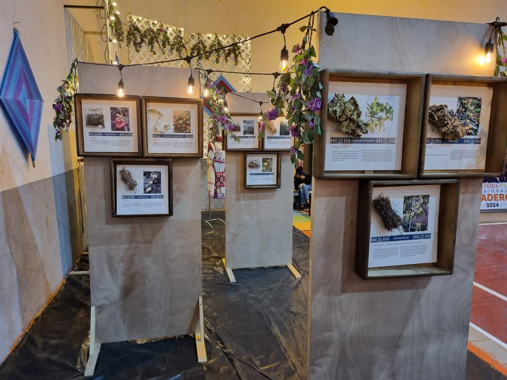 En Durango se hará el ‘Ojo de Dios’ más grande del mundo