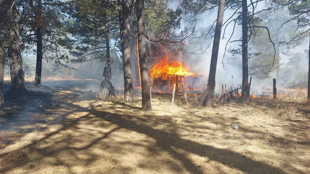 Siniestro. La magnitud que estaba tomando el incendio requirió que las brigadas pidieran el apoyo del Cuerpo de Bomberos para sofocar las llamas.