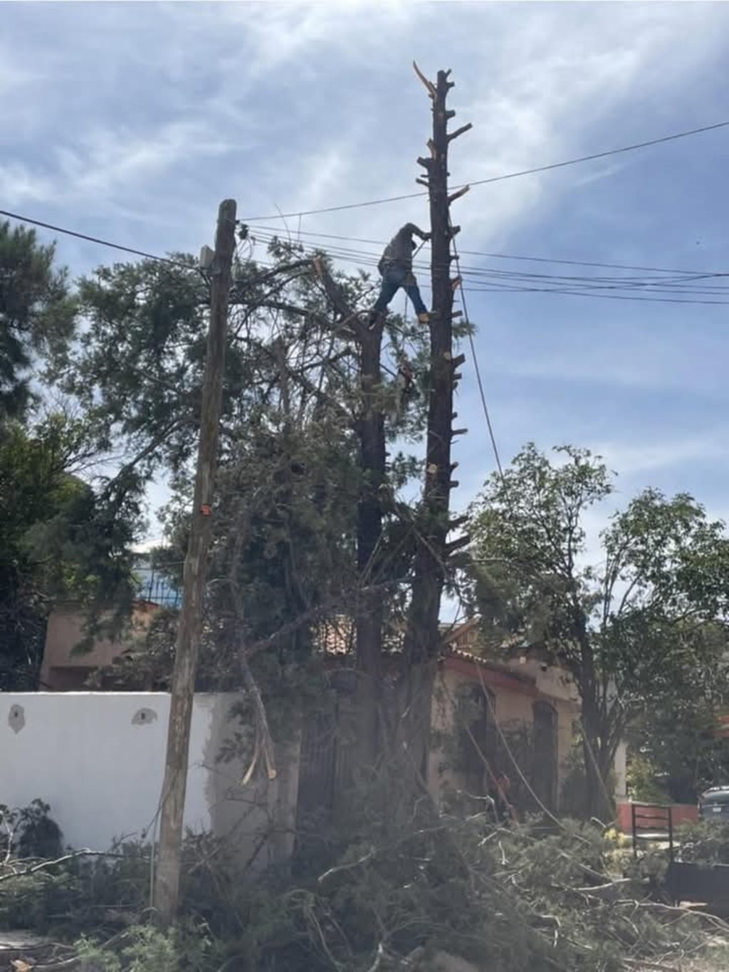 Denuncia. En cuanto los vecinos se percataron de está acción realizaron una queja a través de redes sociales.