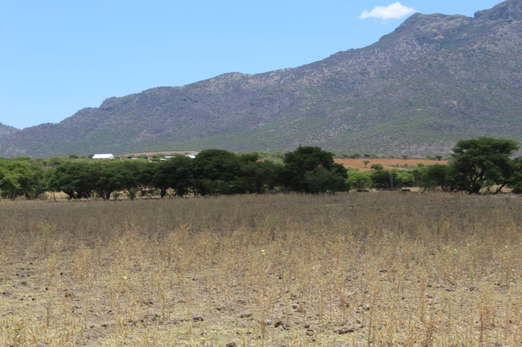 Seco. El campo duranguense está seco; faltaron precipitaciones en enero y febrero.