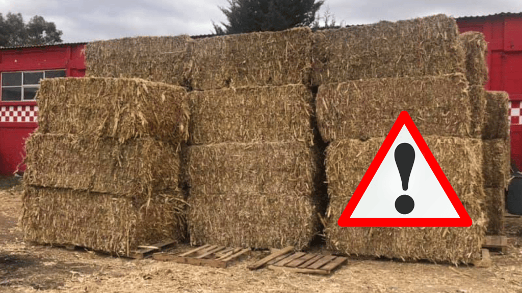 Adulta mayor murió aplastada por una paca de 500 kilos, en San Juan del Río