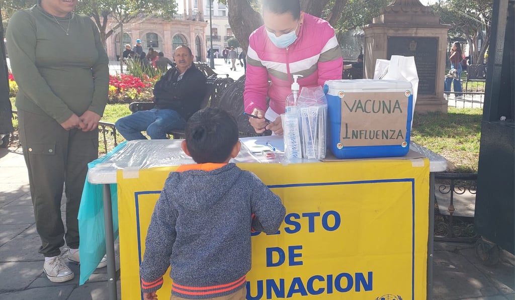Plan. Se mantiene la campaña de vacunación contra la influenza; todavía existe biológico.