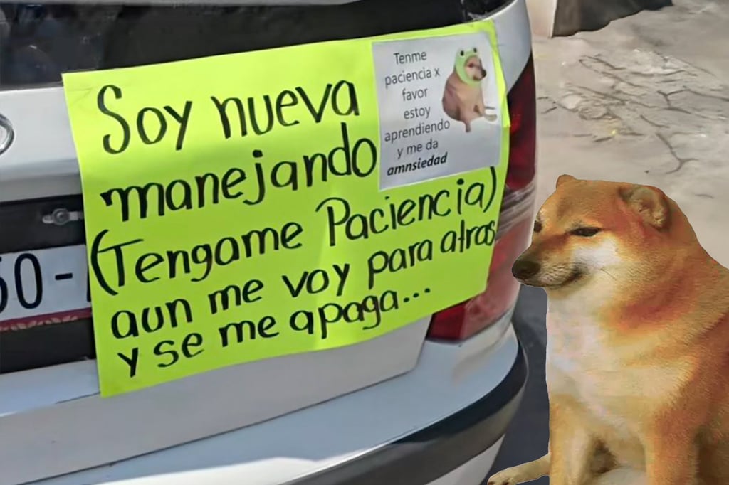 'Soy nueva manejando'; Conductora se vuelve viral al avisar que está aprendiendo a manejar | VIDEO