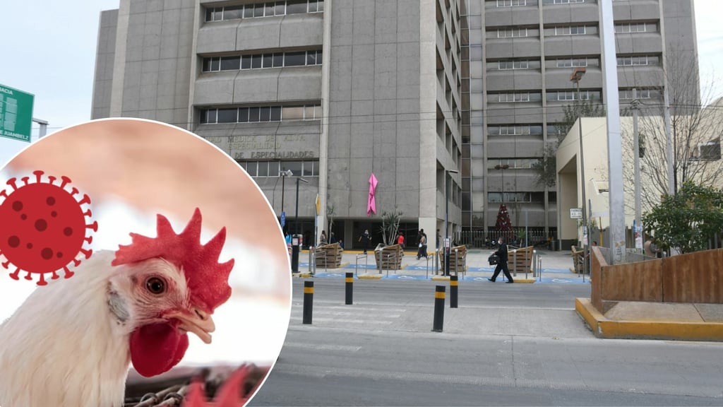Gripe aviar: muere niña de 3 años que dio positivo en Gómez Palacio