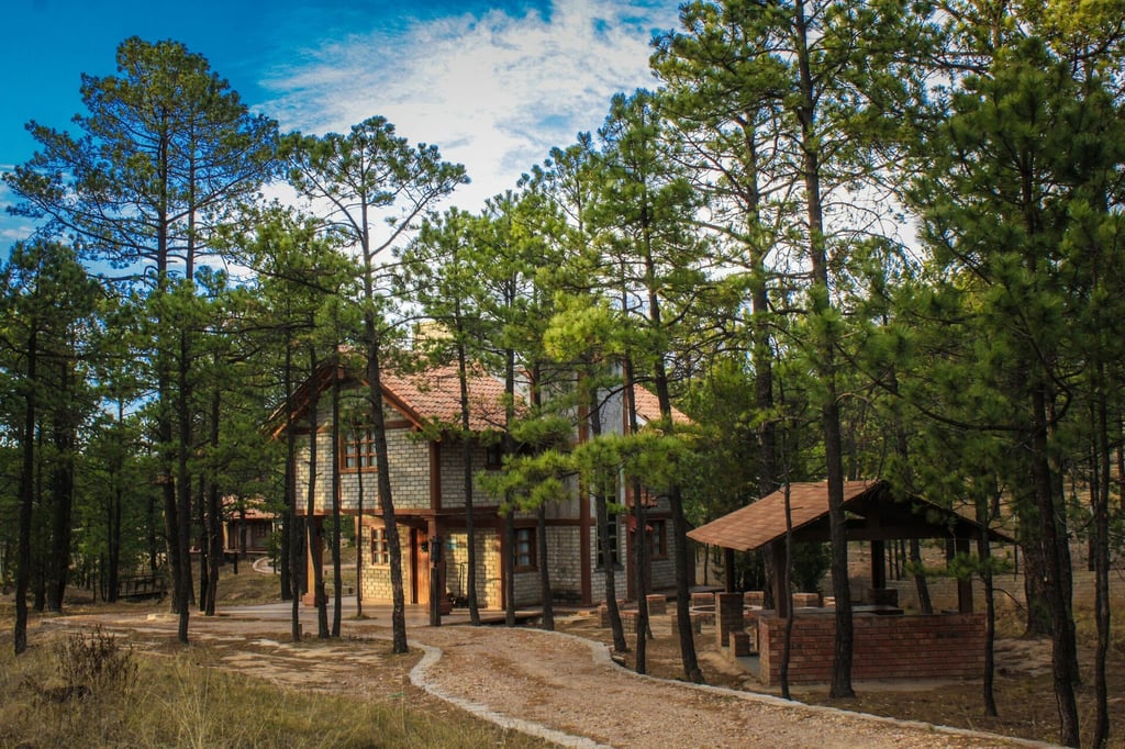 Centros ecoturísticos de Otinapa están batallando con el agua y la luz