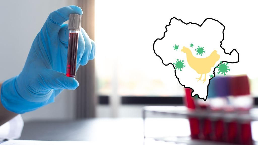 Gripe aviar: 'Se han muestreado 38 contactos humanos y han sido negativos', dice Salud Federal