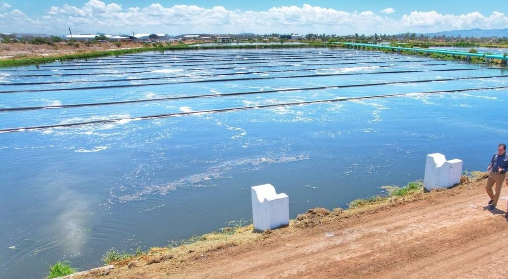 Plan. A través de la inversión en infraestructura y tecnologías innovadoras se espera garantizar el acceso equitativo al agua, mejorar la eficiencia en su uso y proteger el medio ambiente.
