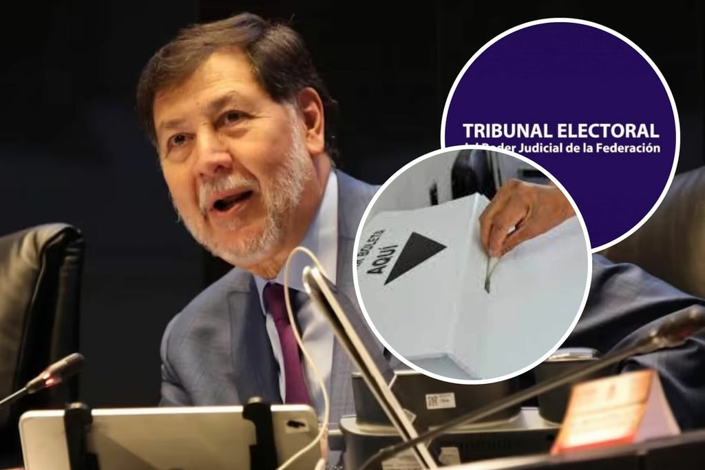 Elección de Jueces: Noroña celebra dictamen del TEPJF para promover votación