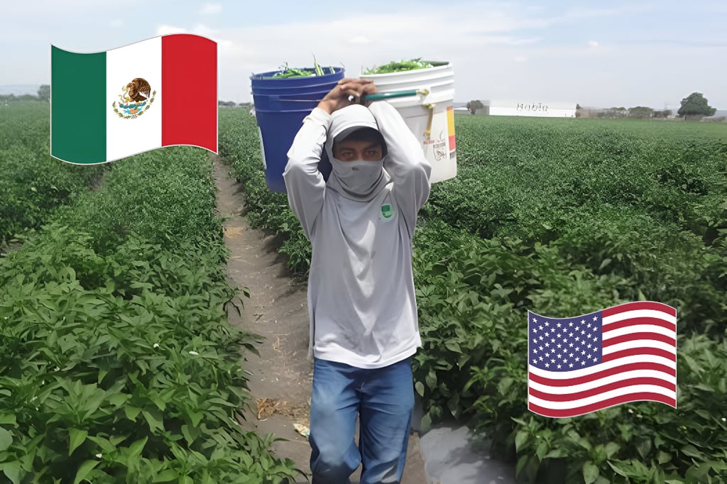 'Trabajaremos conjuntamente', dicen secretarios de agricultura de México y EU, ante aranceles