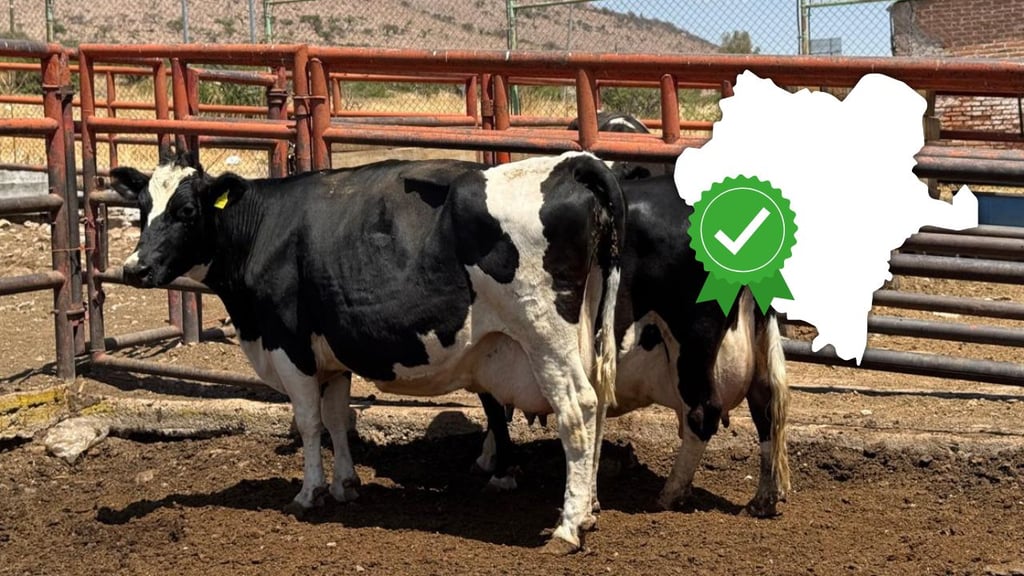 Buscarán certificación TIF para el nuevo rastro municipal de Canatlán