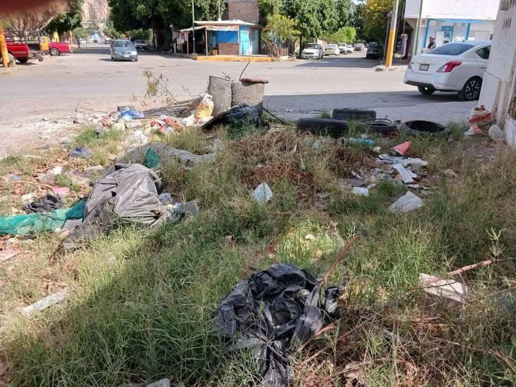 Exhorto. Los afectados por esta problemática hacen un llamado a las autoridades municipales para que se les atienda.