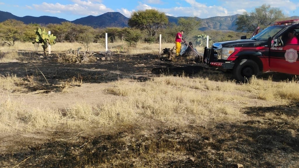 Pastizales. Hasta siete veces han acudido los bomberos al mismo lugar; la gente reincide en hacer quemas.