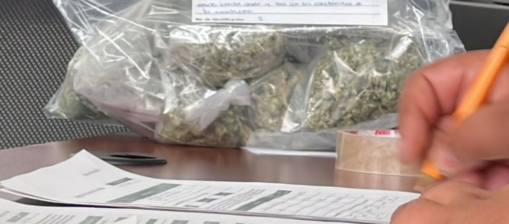 Legalidad. La estadística oficial establece que fueron 25 los municipios que registraron al menos un caso en el primer trimestre; la mayoría se concentraron en Gómez Palacio.