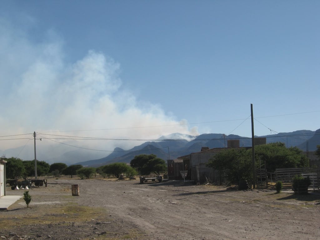 Relevancia. Se plantea el uso de tecnologías para detectar y focalizar incendios desde su surgimiento.
