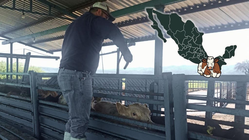 Gusano barrenador se mantiene al sur del país: UGRD