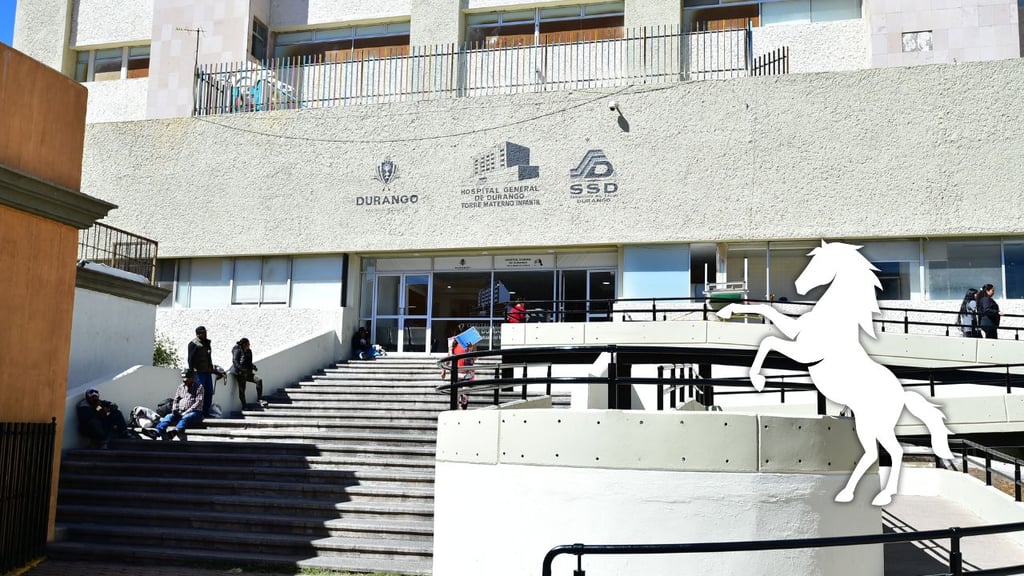 Adolescente resultó lesionado al caer de un caballo; ingresó al Materno Infantil