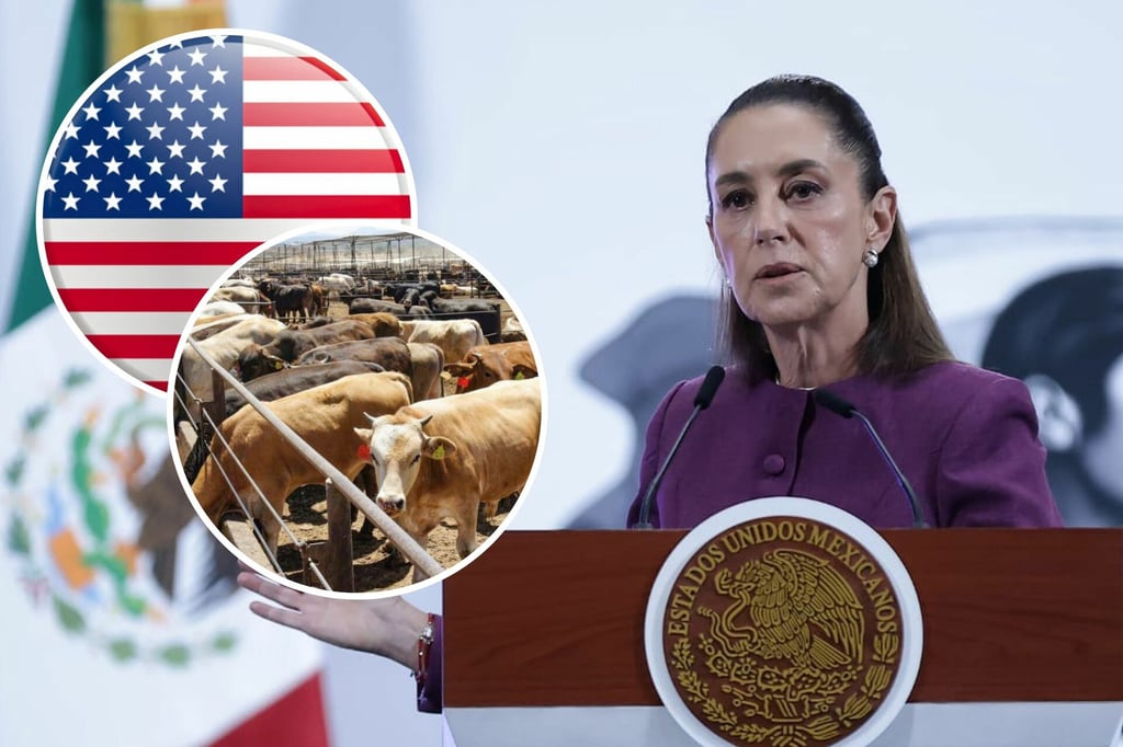Gusano Barrenador: Sheinbaum califica como exceso la advertencia de EU de  restringir importaciones de ganado