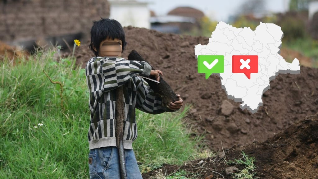 Lo ideal y lo real en el trabajo infantil en Durango